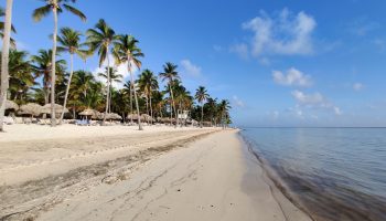 El sargazo en República Dominicana: de amenaza costera a oportunidad estratégica